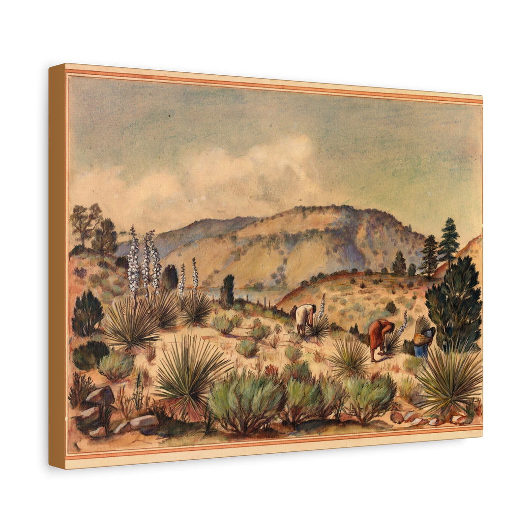 Desert Harvest - Rustic Wall Art for Home Decor [16x12]